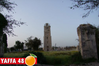  "نداء إلى كل العرب في الرملة .. استيقظوا" بقلم: نبيل العبرة